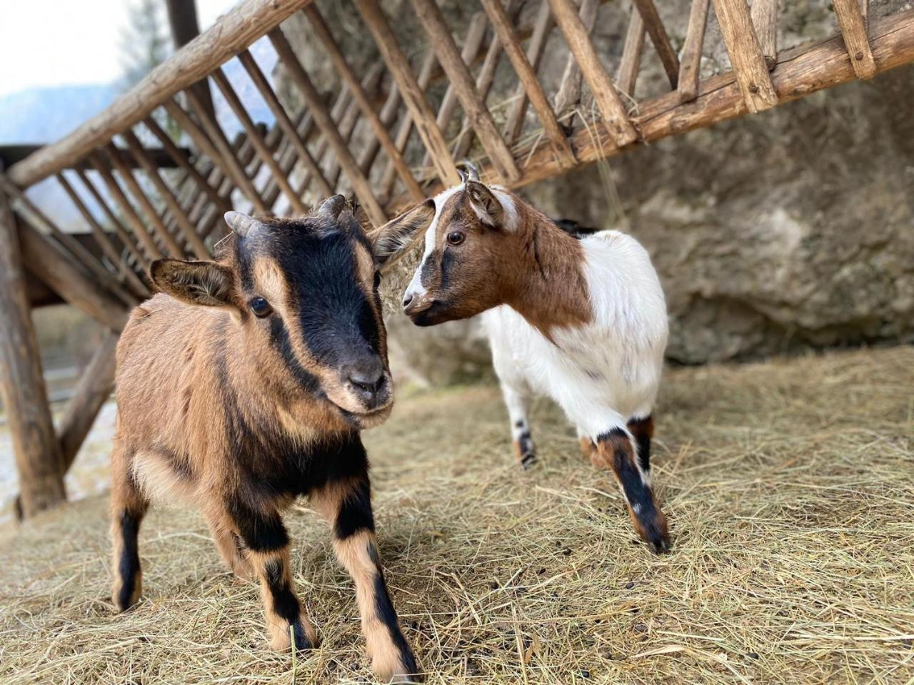 Pristava Lepena Village Zewnętrze zdjęcie